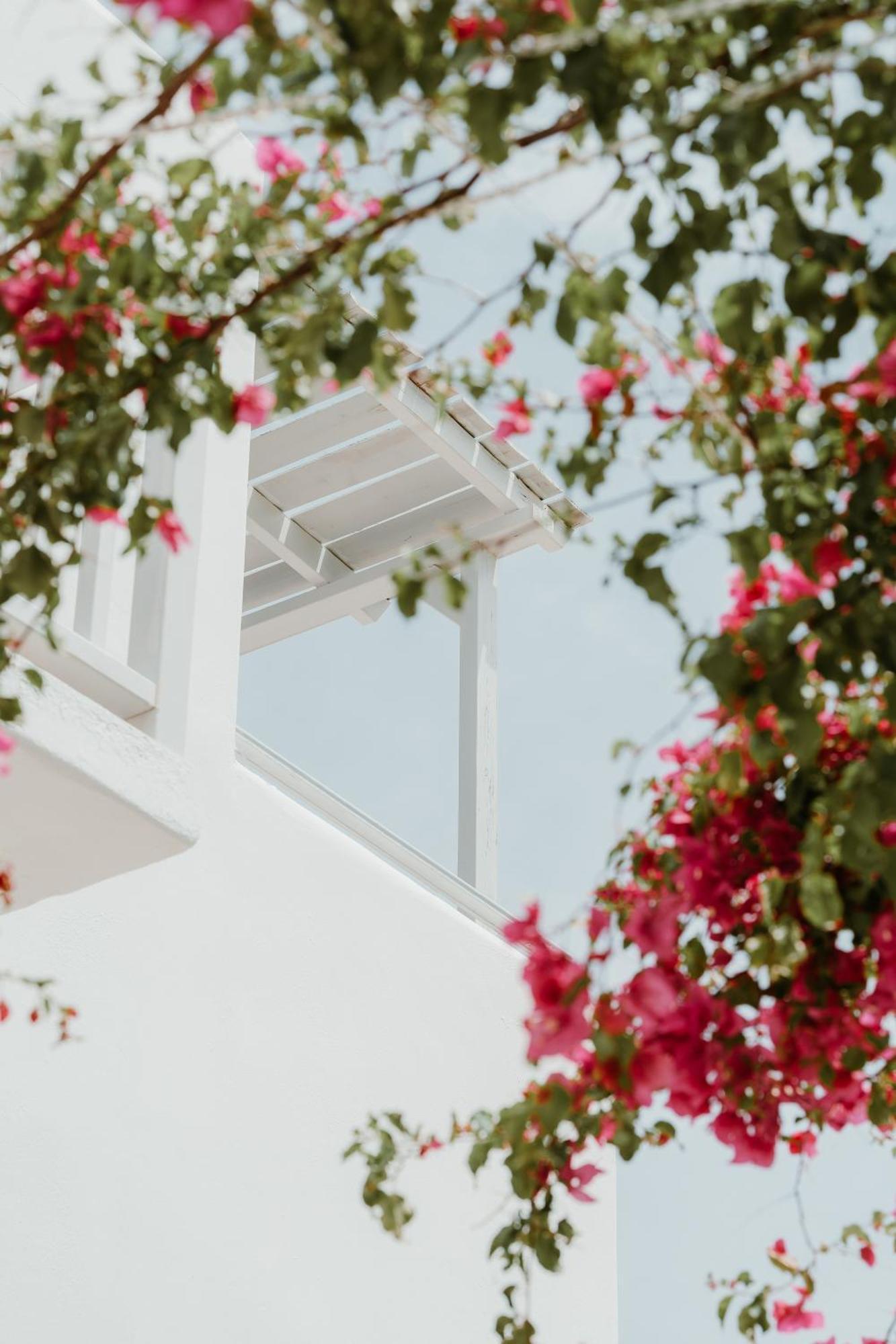 Mr And Mrs White Paros Hotel Naousa Exterior foto