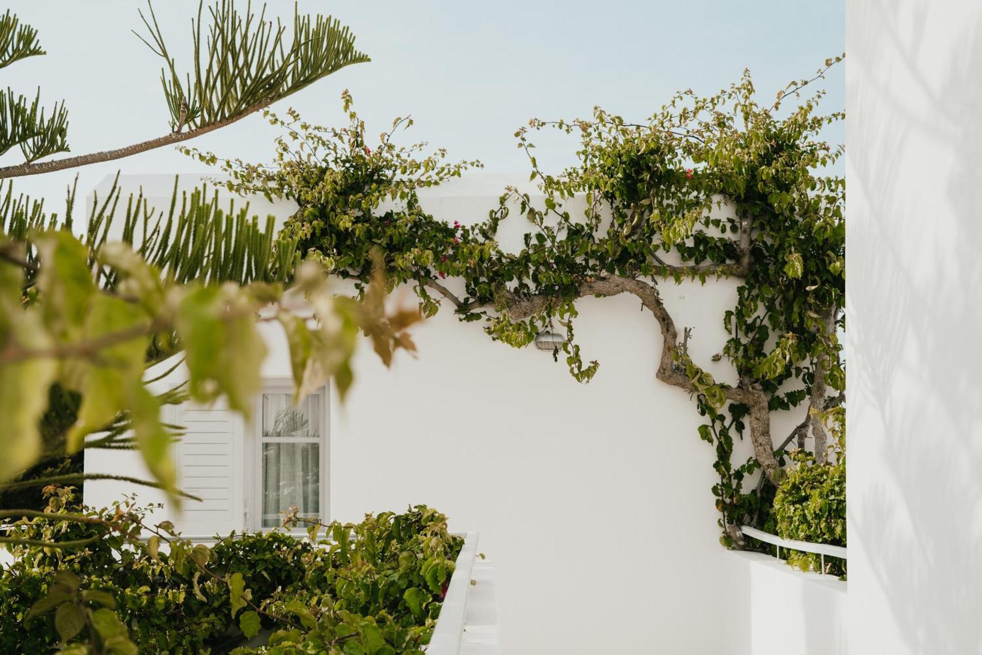 Mr And Mrs White Paros Hotel Naousa Exterior foto